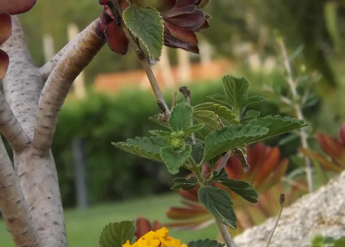 Le Anfore Villasimius