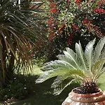 ホテル Le Anfore ヴィッラシミーウス