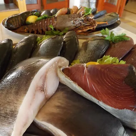 酒店 乐安福尔酒店