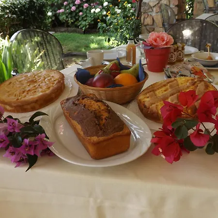 酒店 乐安福尔酒店