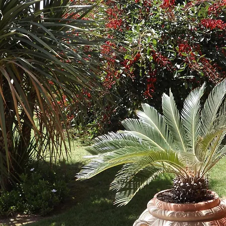 Hotel Le Anfore Villasimius