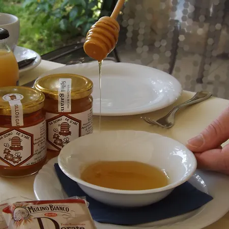 酒店 乐安福尔酒店