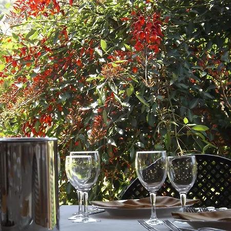 乐安福尔酒店 酒店