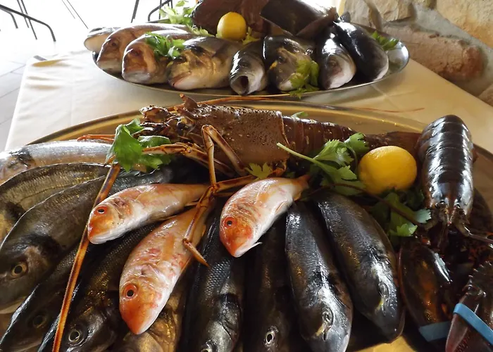 乐安福尔酒店 维拉西米乌斯