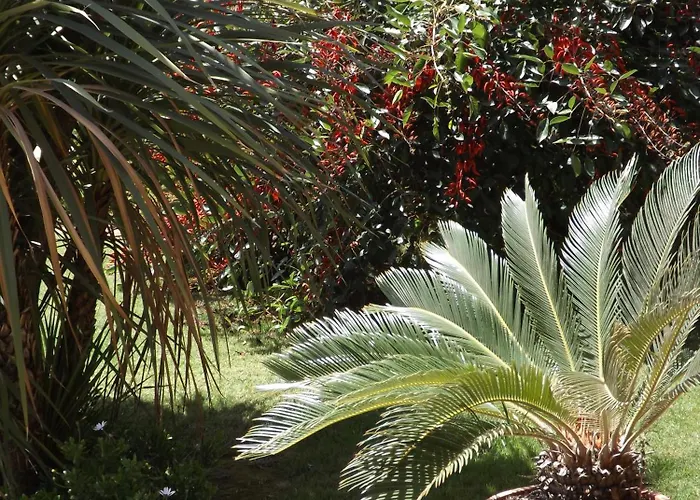 酒店 乐安福尔酒店 维拉西米乌斯