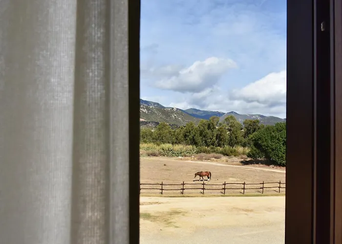 乐安福尔酒店 酒店