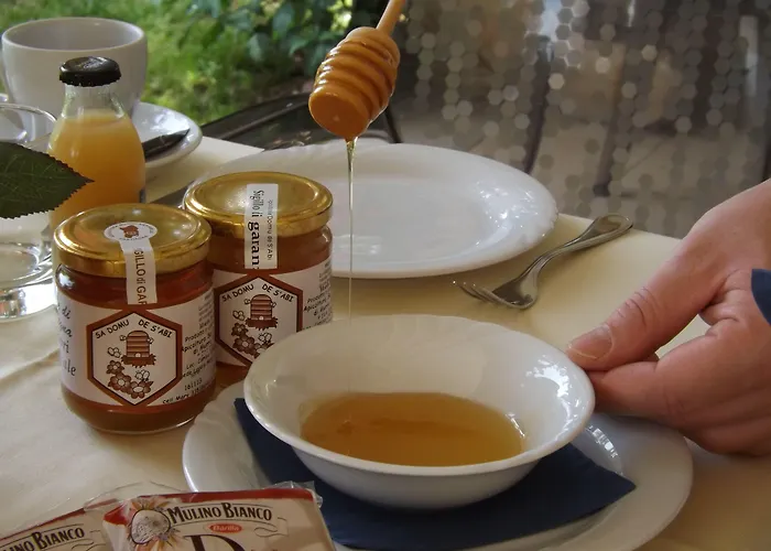 酒店 乐安福尔酒店